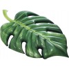 Palm Leaf Mat